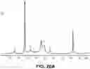 Fig. 34 - METABOLIC ENGINEERING OF NON-PATHOGENIC ESCHERICHIA COLI STRAINS FOR THE CONTROLLED PRODUCTION OF LOW MOLECULAR WEIGHT HEPAROSAN AND SIZE-SPECIFIC HEPAROSAN OLIGOSACCHARIDES