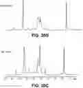 Fig. 35 - METABOLIC ENGINEERING OF NON-PATHOGENIC ESCHERICHIA COLI STRAINS FOR THE CONTROLLED PRODUCTION OF LOW MOLECULAR WEIGHT HEPAROSAN AND SIZE-SPECIFIC HEPAROSAN OLIGOSACCHARIDES