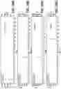 Fig. 40 - METABOLIC ENGINEERING OF NON-PATHOGENIC ESCHERICHIA COLI STRAINS FOR THE CONTROLLED PRODUCTION OF LOW MOLECULAR WEIGHT HEPAROSAN AND SIZE-SPECIFIC HEPAROSAN OLIGOSACCHARIDES