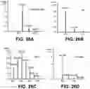 Fig. 41 - METABOLIC ENGINEERING OF NON-PATHOGENIC ESCHERICHIA COLI STRAINS FOR THE CONTROLLED PRODUCTION OF LOW MOLECULAR WEIGHT HEPAROSAN AND SIZE-SPECIFIC HEPAROSAN OLIGOSACCHARIDES