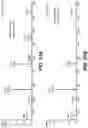 Fig. 48 - METABOLIC ENGINEERING OF NON-PATHOGENIC ESCHERICHIA COLI STRAINS FOR THE CONTROLLED PRODUCTION OF LOW MOLECULAR WEIGHT HEPAROSAN AND SIZE-SPECIFIC HEPAROSAN OLIGOSACCHARIDES