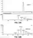 Fig. 50 - METABOLIC ENGINEERING OF NON-PATHOGENIC ESCHERICHIA COLI STRAINS FOR THE CONTROLLED PRODUCTION OF LOW MOLECULAR WEIGHT HEPAROSAN AND SIZE-SPECIFIC HEPAROSAN OLIGOSACCHARIDES
