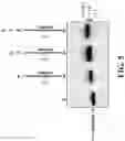 Fig. 06 - METHOD AND KIT FOR REGENERATING REUSABLE INITIATORS FOR NUCLEIC ACID SYNTHESIS