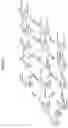 Fig. 03 - PRODUCTION OF STEVIOL GLYCOSIDES IN RECOMBINANT HOSTS