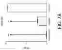 Fig. 08 - System and Method for Improved Transient Protein Expression in CHO Cells