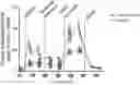 Fig. 01 - MITOCHONDRIAL RESPIROMETRY IN FROZEN SPECIMENS