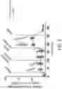 Fig. 04 - MITOCHONDRIAL RESPIROMETRY IN FROZEN SPECIMENS