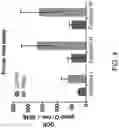 Fig. 05 - MITOCHONDRIAL RESPIROMETRY IN FROZEN SPECIMENS