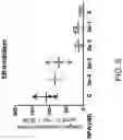 Fig. 06 - MITOCHONDRIAL RESPIROMETRY IN FROZEN SPECIMENS