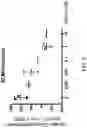 Fig. 07 - MITOCHONDRIAL RESPIROMETRY IN FROZEN SPECIMENS