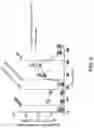 Fig. 09 - MITOCHONDRIAL RESPIROMETRY IN FROZEN SPECIMENS