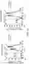 Fig. 11 - MITOCHONDRIAL RESPIROMETRY IN FROZEN SPECIMENS
