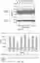 Fig. 07 - Digital microbiology