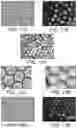 Fig. 12 - Digital microbiology