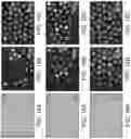 Fig. 13 - Digital microbiology