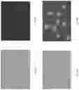 Fig. 15 - Digital microbiology