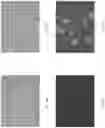 Fig. 16 - Digital microbiology