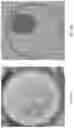 Fig. 25 - Digital microbiology