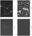 Fig. 32 - Digital microbiology
