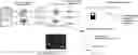 Fig. 01 - SELECTIVE DETECTION, COUNTING, AND GENOMIC ANALYSIS OF LIVING BACTERIUM-DERIVED NUCLEIC ACID ON SINGLE-ORGANISM BASIS