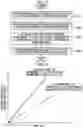 Fig. 11 - Evaluation method for permeability of porous membrane, cell evaluation method, and drug evaluation method