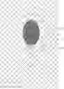 Fig. 01 - METHODS AND KITS FOR DETECTING SPERM DNA FRAGMENTATION
