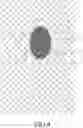 Fig. 05 - METHODS AND KITS FOR DETECTING SPERM DNA FRAGMENTATION