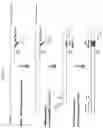 Fig. 04 - Multiplex Preparation of Barcoded Gene Specific DNA Fragments