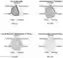 Fig. 07 - SEQUENCING  MICROBIAL CELL-FREE DNA FROM ASYMPTOMATIC INDIVIDUALS