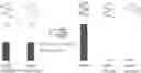 Fig. 01 - HYBRIDIZING all-LNA OLIGONUCLEOTIDES