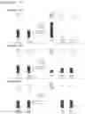 Fig. 02 - HYBRIDIZING all-LNA OLIGONUCLEOTIDES