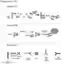Fig. 52 - HYBRIDIZING all-LNA OLIGONUCLEOTIDES