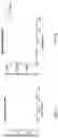 Fig. 07 - QUANTIFICATION OF NGS DNA BY ADAPTER SEQUENCE