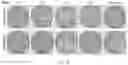 Fig. 143 - Crispr enzymes and systems
