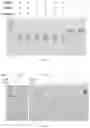 Fig. 145 - Crispr enzymes and systems