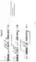 Fig. 15 - Crispr enzymes and systems