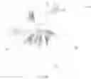 Fig. 21 - Crispr enzymes and systems