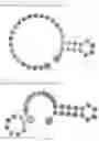 Fig. 249 - Crispr enzymes and systems