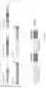 Fig. 25 - Crispr enzymes and systems