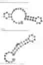 Fig. 250 - Crispr enzymes and systems