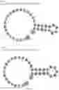 Fig. 253 - Crispr enzymes and systems