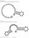 Fig. 254 - Crispr enzymes and systems