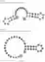 Fig. 255 - Crispr enzymes and systems