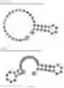Fig. 256 - Crispr enzymes and systems