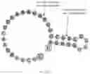 Fig. 260 - Crispr enzymes and systems