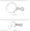 Fig. 263 - Crispr enzymes and systems