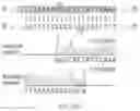 Fig. 288 - Crispr enzymes and systems