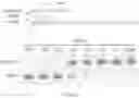 Fig. 294 - Crispr enzymes and systems