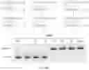 Fig. 295 - Crispr enzymes and systems