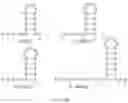 Fig. 300 - Crispr enzymes and systems